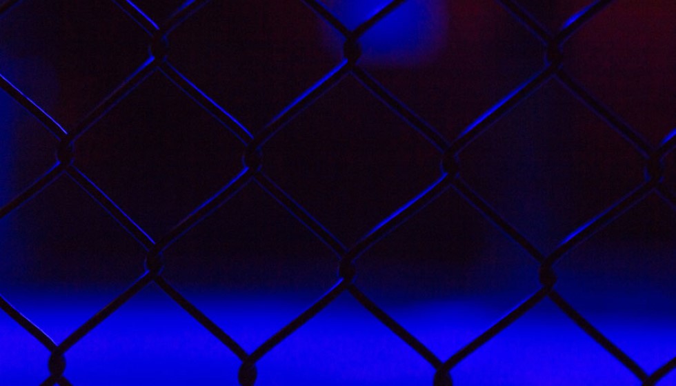 Catterall vs. Prograis: A Match with High Stakes and Future World Title Implications